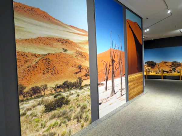 In der Ausstellung