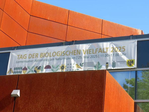 Flyer am Museumseingang