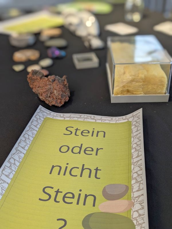Stein oder nicht Stein