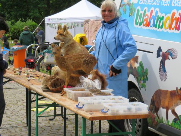 Tag der Artenvielfalt 4