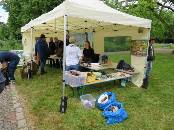 Tag der Artenvielfalt 7