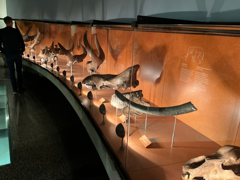 Museonder am 17.10.2026 (19)