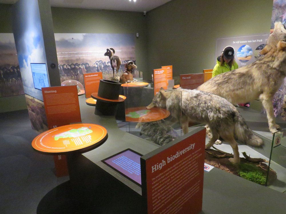 Museonder am 17.10.2026 (33)