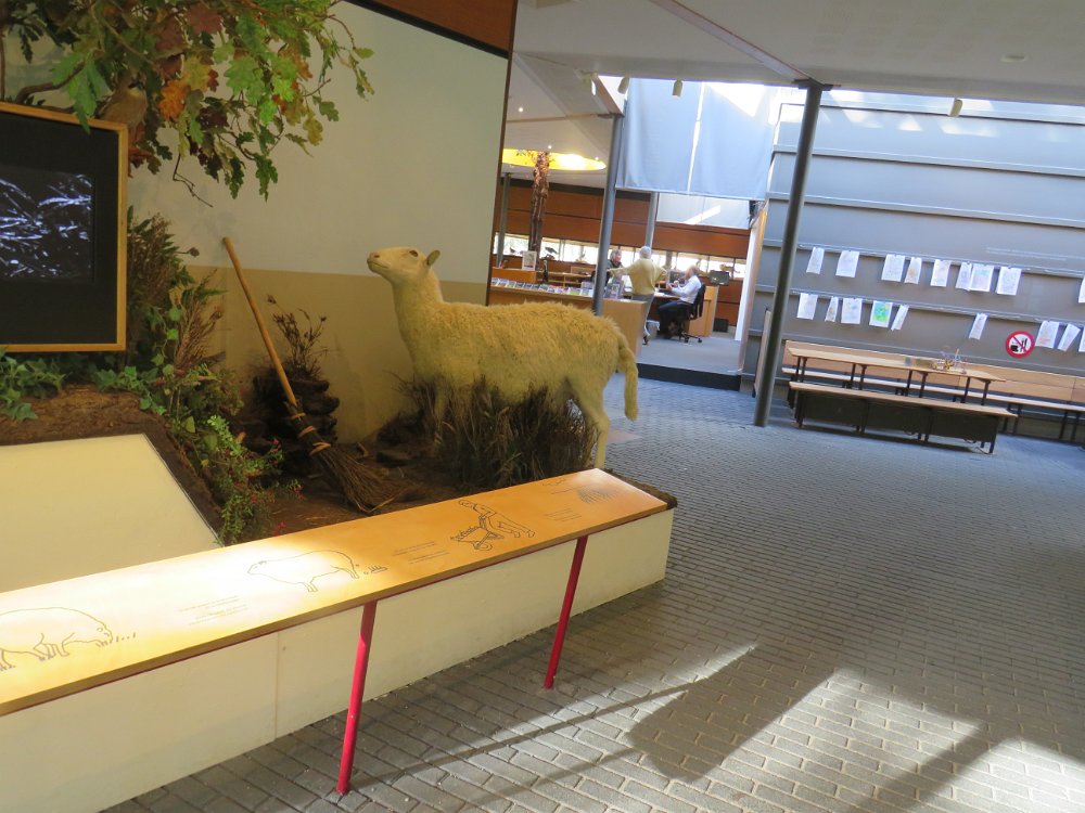 Museonder am 17.10.2026 (38)