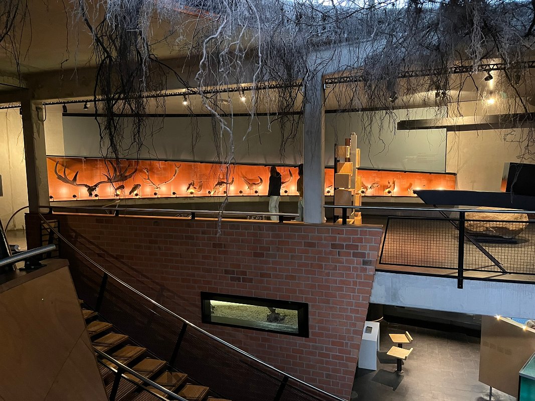 Museonder am 17.10.2026 (4)