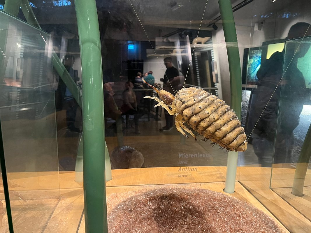 Museonder am 17.10.2026 (9)