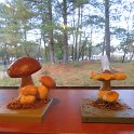Museonder am 17.10.2026 (21)
