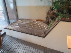 Museonder am 17.10.2026 (36)