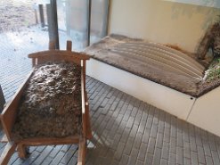 Museonder am 17.10.2026 (37)