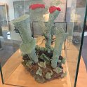 Museonder am 17.10.2026 (4)