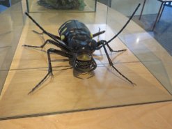 Museonder am 17.10.2026 (41)