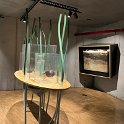 Museonder am 17.10.2026 (7)