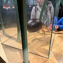Museonder am 17.10.2026 (8)