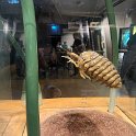 Museonder am 17.10.2026 (9)