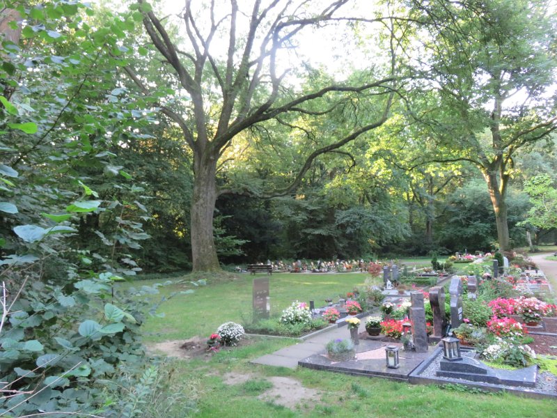 Ostfriedhof am 23. August 2019 (16)