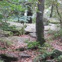 Piesberg am 28.09.2025 (123)